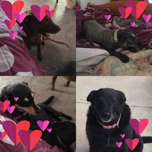 Meet your Posher, Alice